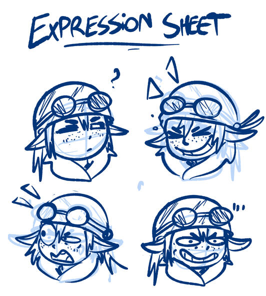 Expression Sheet